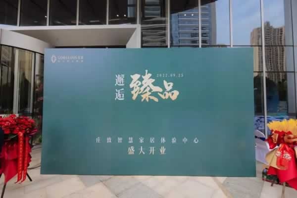 莊致家居