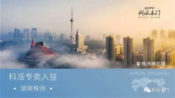 科派木門