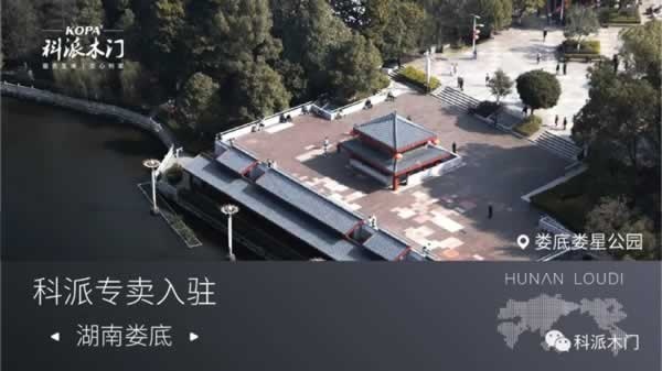 科派木門