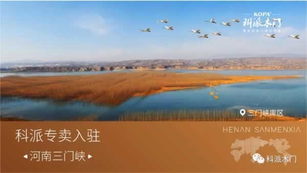 科派木門