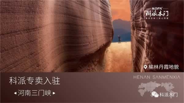 科派木門