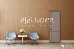 科派木門 | 定制家 | 抖音星火集結號上線！