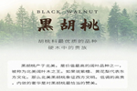 【一木定制】關于黑胡桃，你知道多少