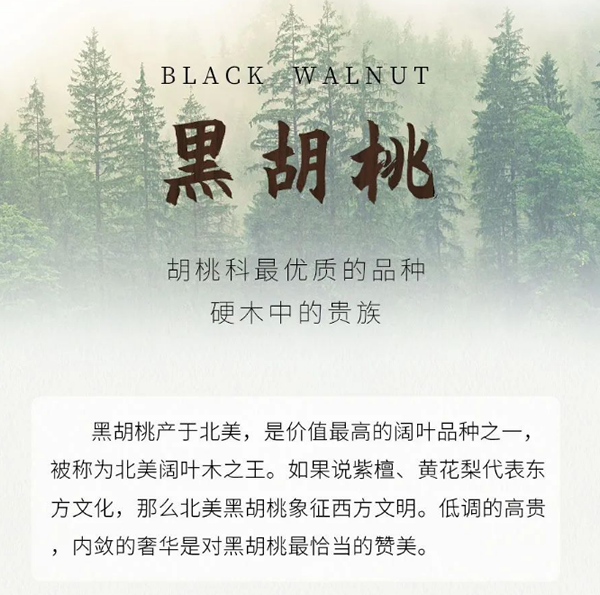 【一木定制】關于黑胡桃，你知道多少