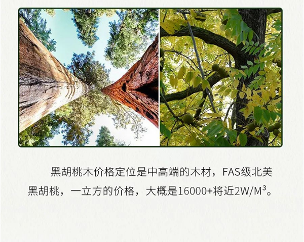 【一木定制】關于黑胡桃，你知道多少