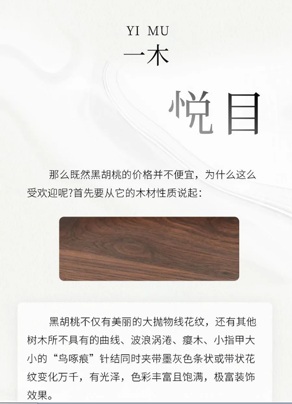 【一木定制】關于黑胡桃，你知道多少