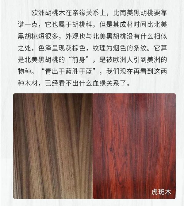 【一木定制】關于黑胡桃，你知道多少