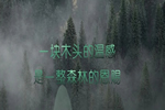 紅塔木業|全屋定制，只為你體驗生活藝術。
