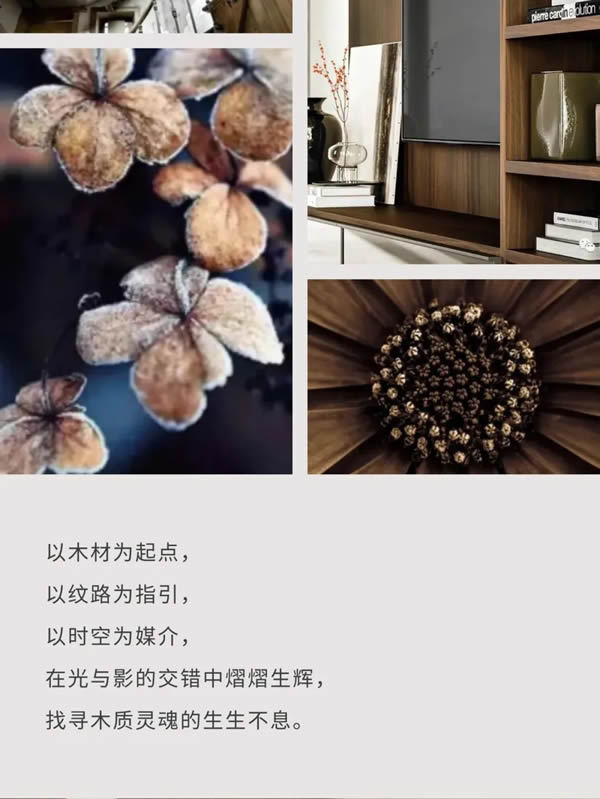 科派木門·你想要的品質木門在這里