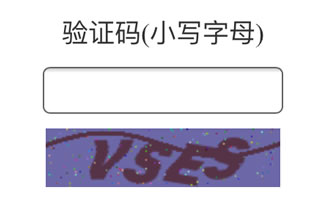 2016“中國木門十大品牌”網(wǎng)絡(luò)評選驗(yàn)證碼答疑