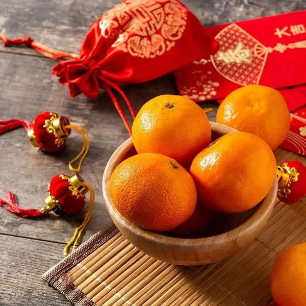 福尚居木門·龍年行大運|開工躍龍門恭賀新春·龍年吉祥