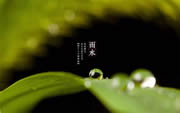 科派木門·今日雨水 | 好雨知時節，當春乃發生