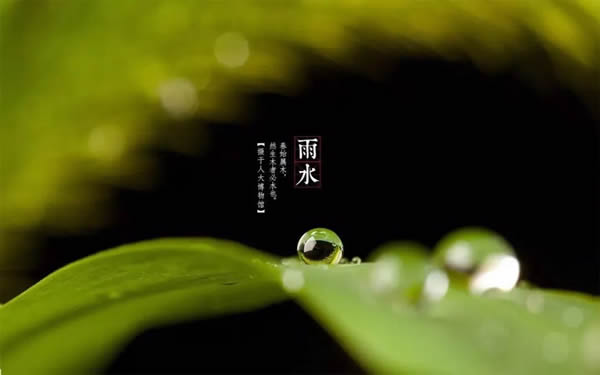 科派木門·今日雨水 | 好雨知時節，當春乃發生