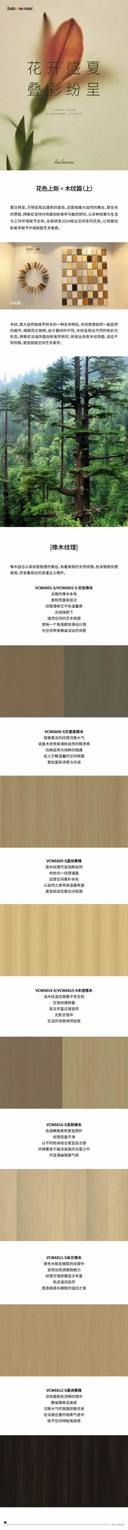 拜勒尼·花色上新|商業空間之木紋篇（上）