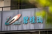突發！碧桂園董事長楊惠妍、總裁莫斌被監管