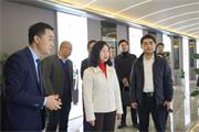 喬治伯爵木門 | “守初心、換賽道、走出去、謀發展”丨熱烈歡迎政協領導蒞臨美迪股份沙坪壩總部、參觀指導工作！