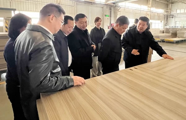 霍爾茨