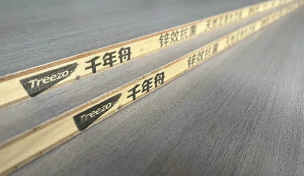 千年舟板材「防偽指南」，教你快速辨真假