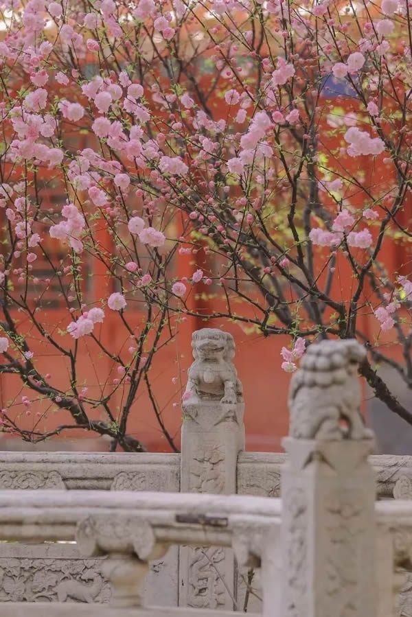 天壇整裝