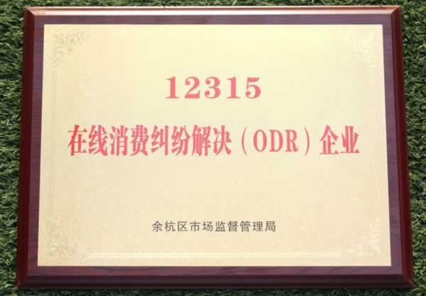 千年舟 | 千年舟借ODR平臺優勢，打造維權「綠色通道」，共筑消費維權新高度