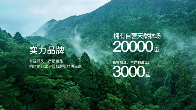 美尼美快裝定制