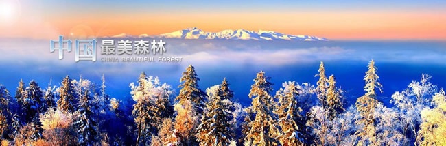 霍爾茨