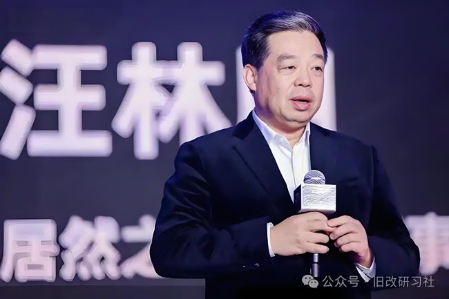居然之家董事長汪林朋遭監察留置，原因曝光？