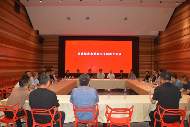 民建保定市委鑫豐支部正式成立 開啟新篇章 助力新發展