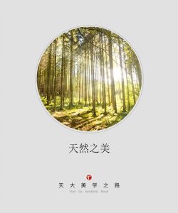 天大木門美學之路